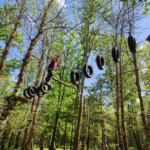 Pourquoi l’accrobranche est l’activité plein air incontournable à Sarlat ?